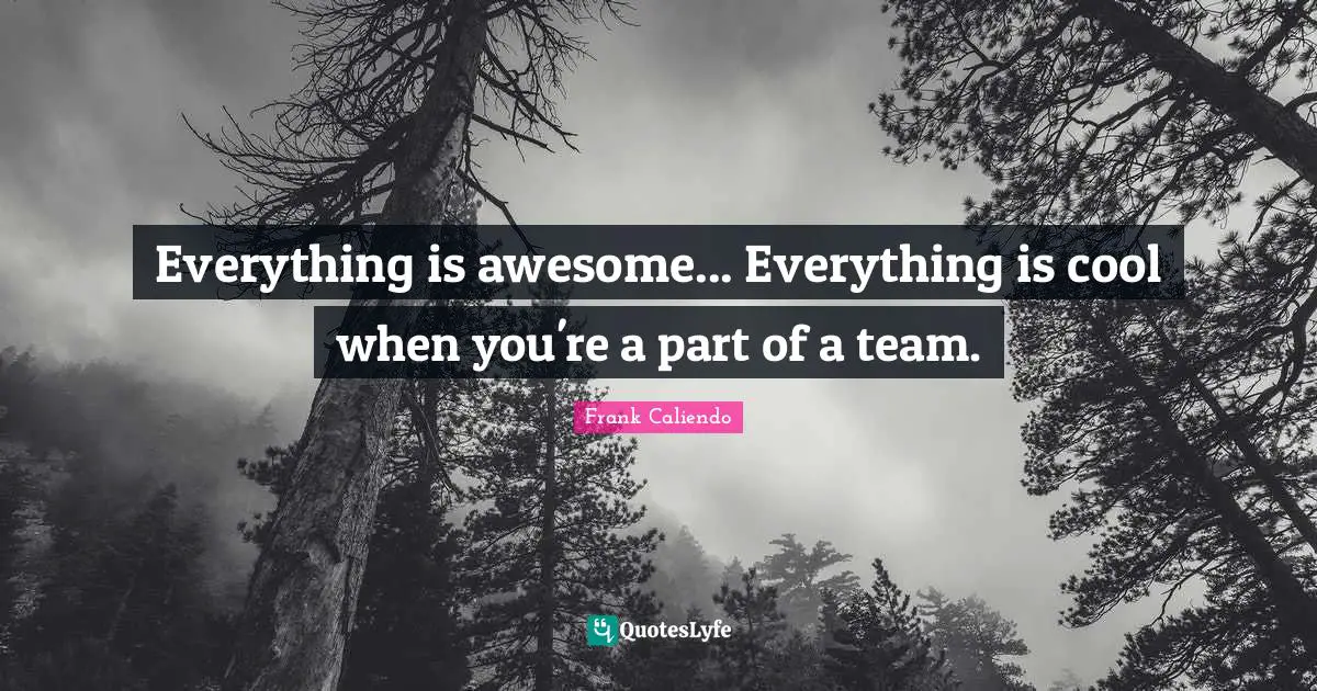 Everything is awesome... Everything is cool when you're a part of a team.