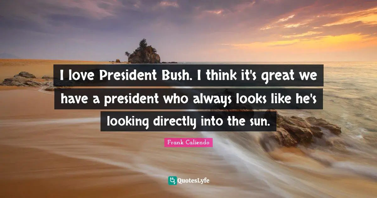 I love President Bush. I think it's great we have a president who always looks like he's looking directly into the sun.