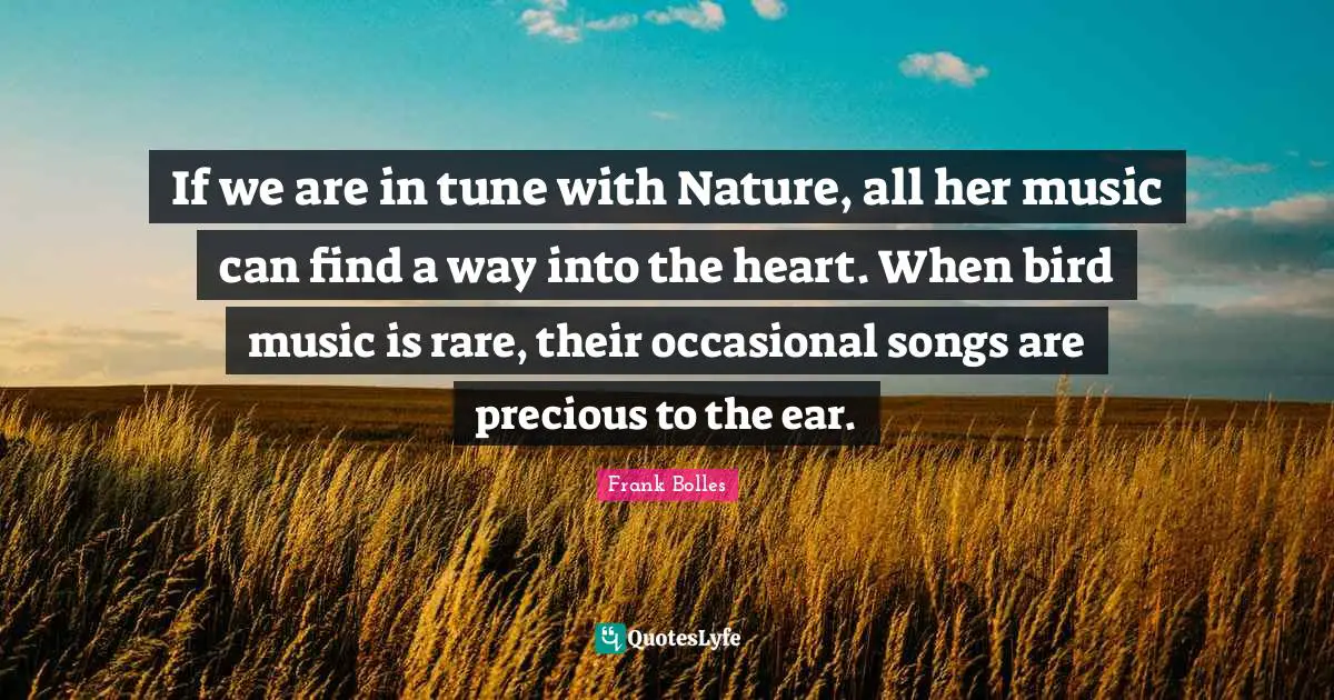 If we are in tune with Nature, all her music can find a way into the heart. When bird music is rare, their occasional songs are precious to the ear.