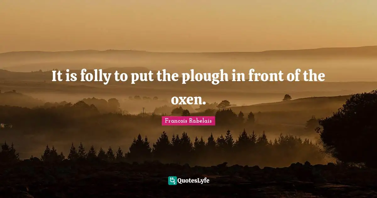 It is folly to put the plough in front of the oxen.