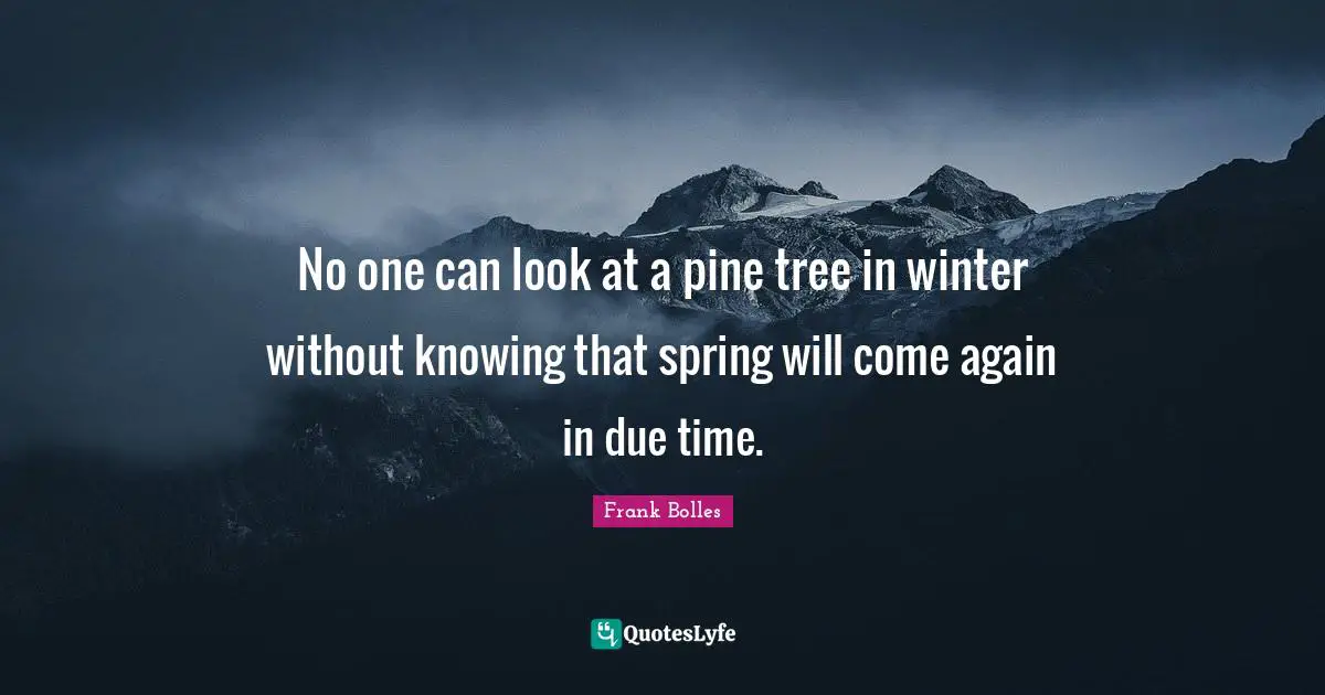 No one can look at a pine tree in winter without knowing that spring will come again in due time.