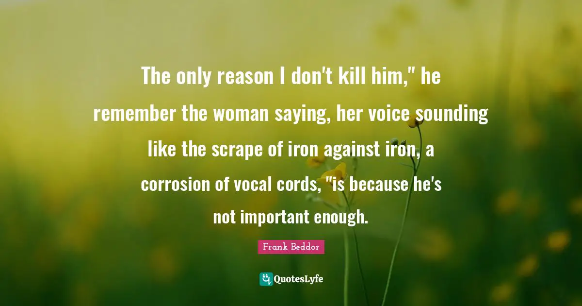 The only reason I don't kill him," he remember the woman saying, her voice sounding like the scrape of iron against iron, a corrosion of vocal cords, "is because he's not important enough.