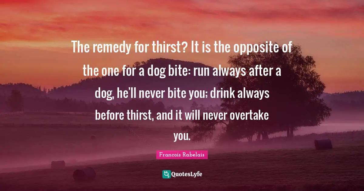 The remedy for thirst? It is the opposite of the one for a dog bite: run always after a dog, he'll never bite you; drink always before thirst, and it will never overtake you.