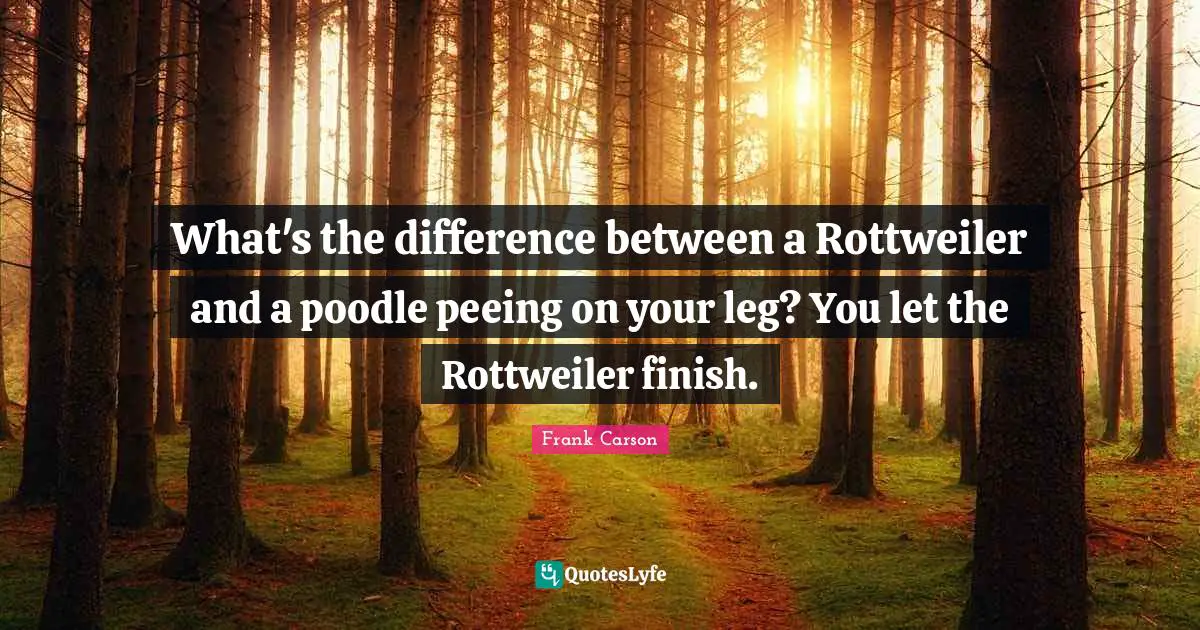 Comedy Quotes: "What's the difference between a Rottweiler and a poodle peeing on your leg? You let the Rottweiler finish."