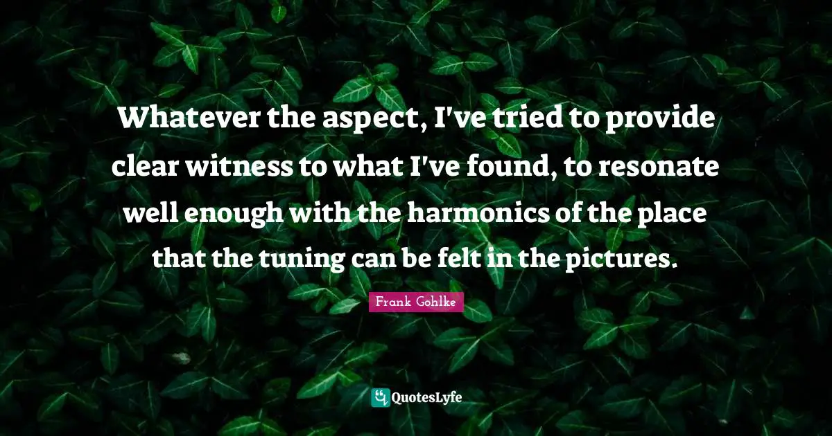 Whatever the aspect, I've tried to provide clear witness to what I've found, to resonate well enough with the harmonics of the place that the tuning can be felt in the pictures.