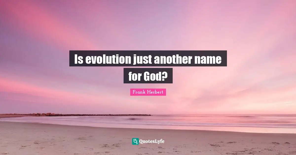 Is evolution just another name for God?