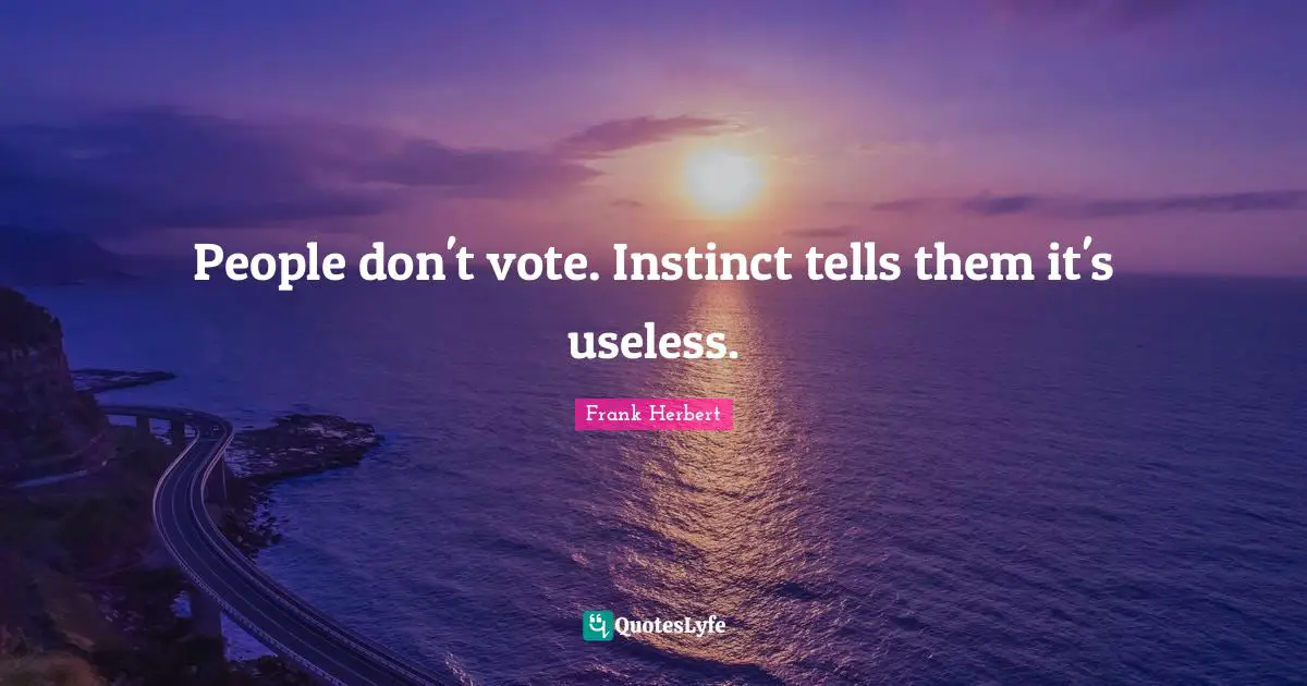 People don't vote. Instinct tells them it's useless.