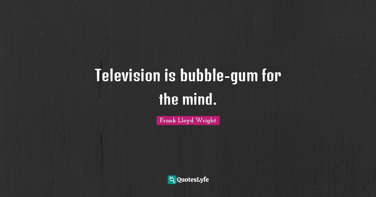 Television is bubble-gum for the mind.