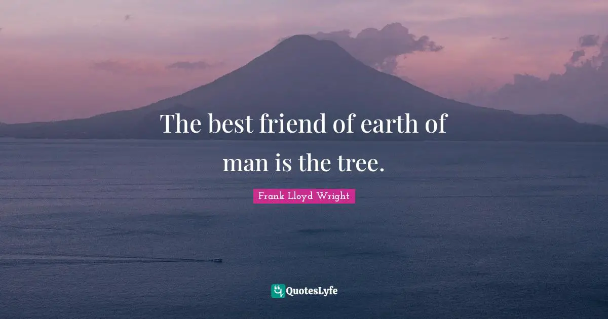 Ex Best Friend Quotes: "The best friend of earth of man is the tree."