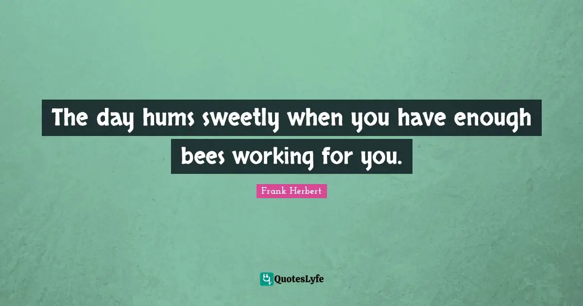 The day hums sweetly when you have enough bees working for you.