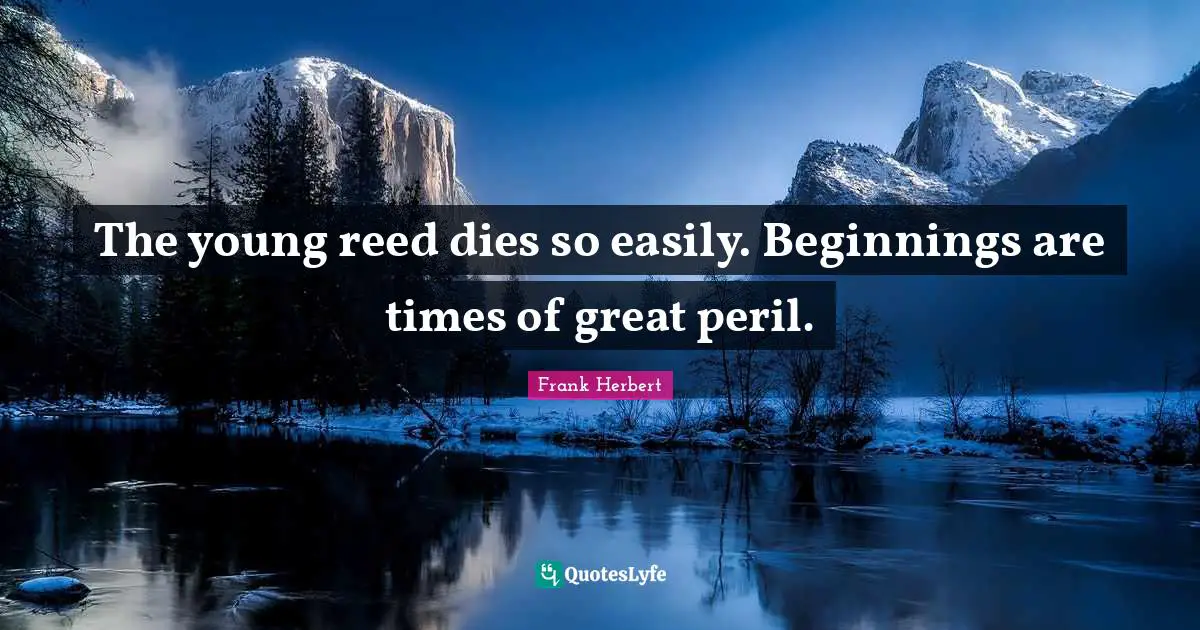 The young reed dies so easily. Beginnings are times of great peril.
