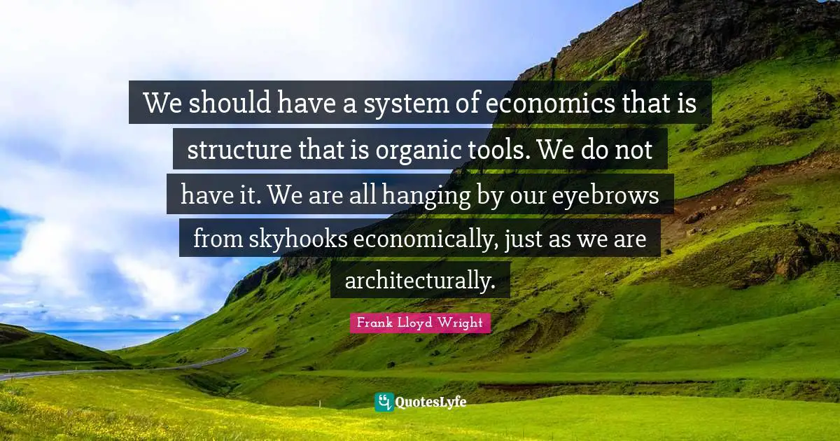 We should have a system of economics that is structure that is organic tools. We do not have it. We are all hanging by our eyebrows from skyhooks economically, just as we are architecturally.