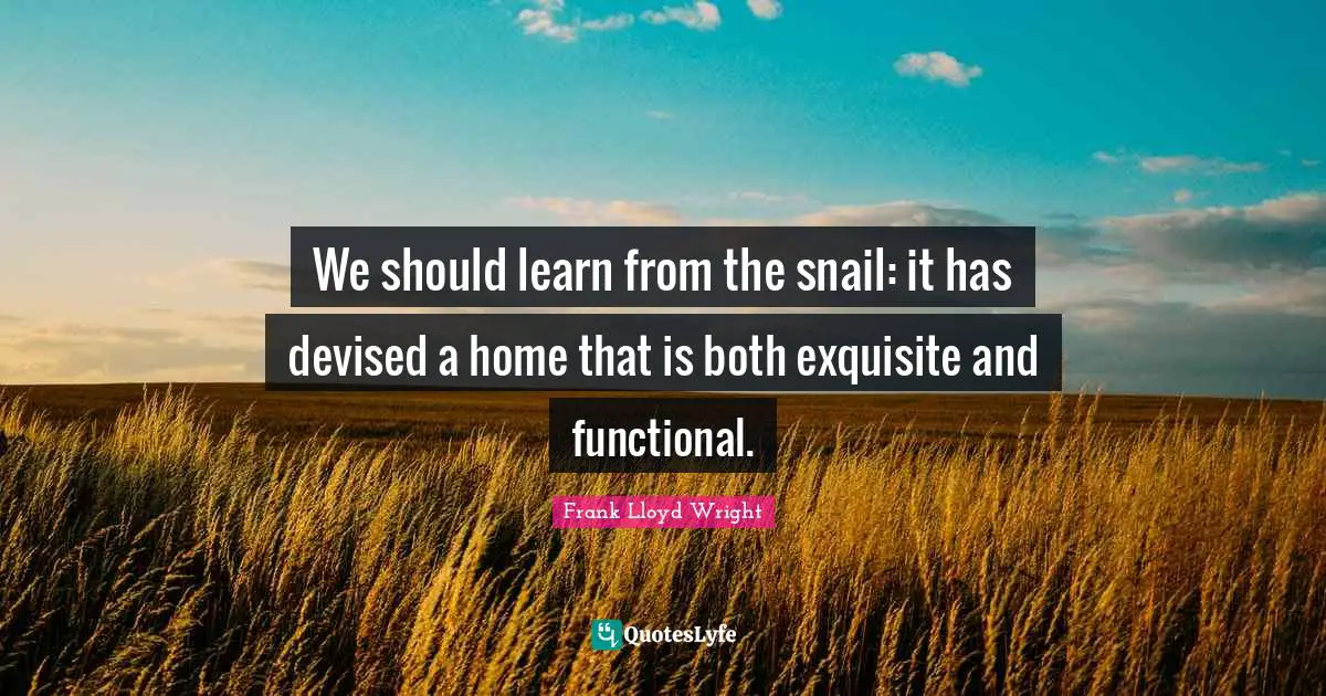 Home Quotes: "We should learn from the snail: it has devised a home that is both exquisite and functional."