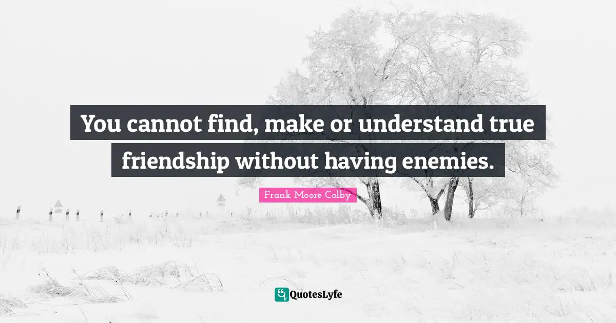 True Friendship Quotes: "You cannot find, make or understand true friendship without having enemies."