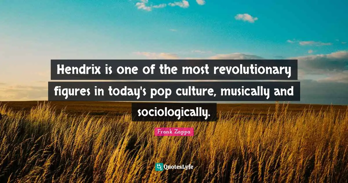 Hendrix is one of the most revolutionary figures in today's pop culture, musically and sociologically.