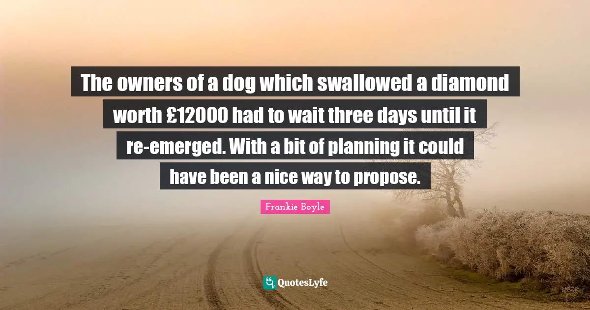The owners of a dog which swallowed a diamond worth £12000 had to wait three days until it re-emerged. With a bit of planning it could have been a nice way to propose.