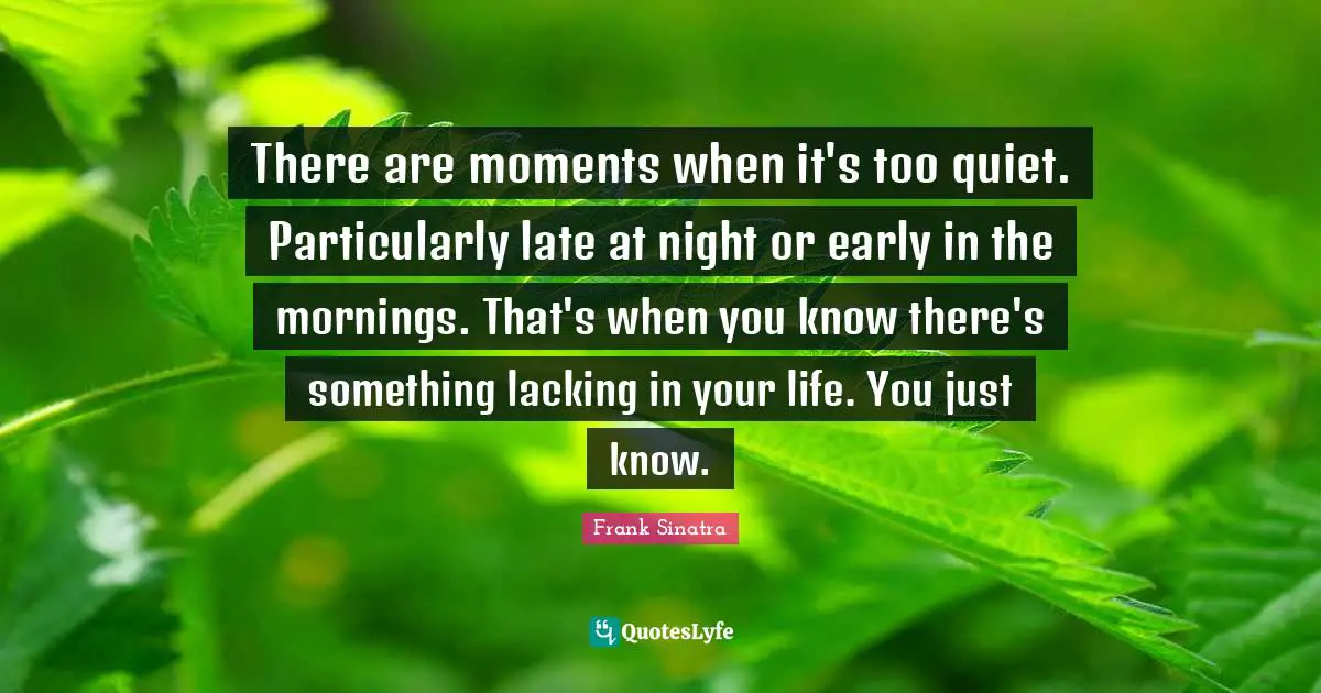 There are moments when it's too quiet. Particularly late at night or early in the mornings. That's when you know there's something lacking in your life. You just know.