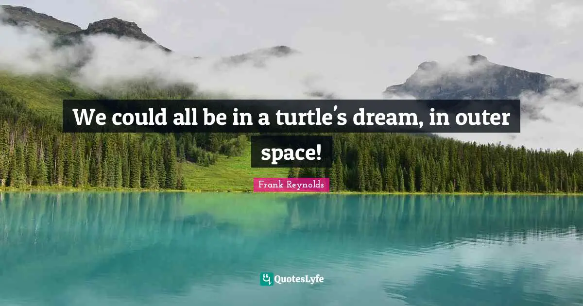 We could all be in a turtle's dream, in outer space!