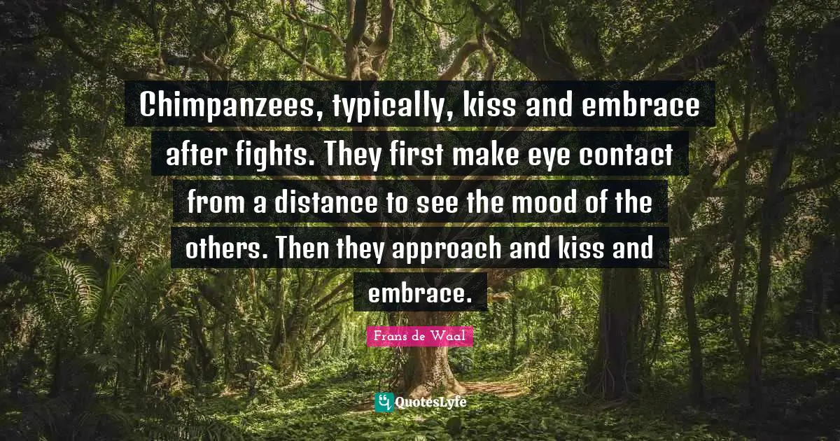 Chimpanzees, typically, kiss and embrace after fights. They first make eye contact from a distance to see the mood of the others. Then they approach and kiss and embrace.