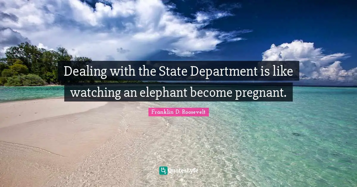 Dealing with the State Department is like watching an elephant become pregnant.