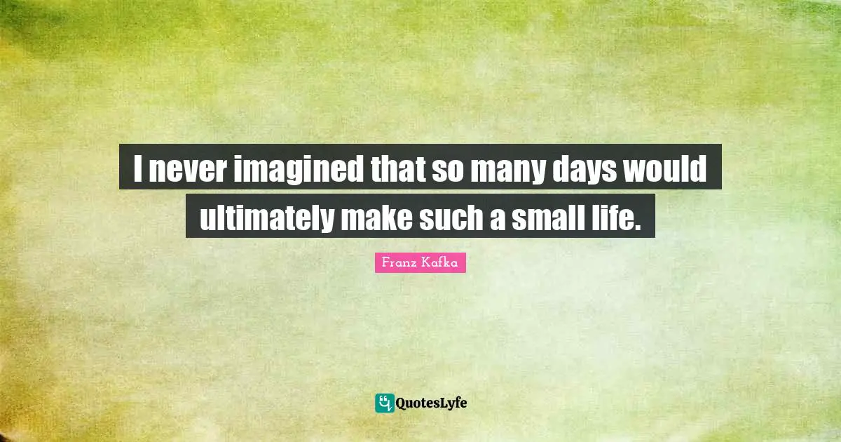 I never imagined that so many days would ultimately make such a small life.