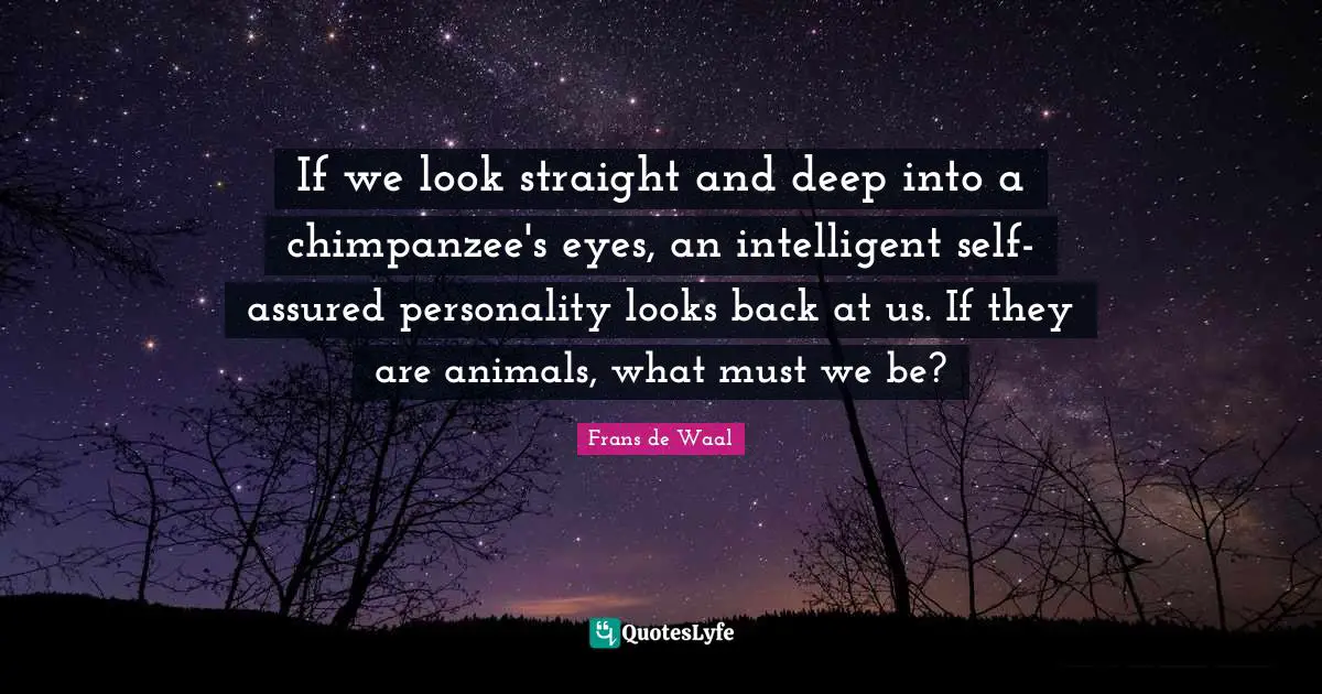 If we look straight and deep into a chimpanzee's eyes, an intelligent self-assured personality looks back at us. If they are animals, what must we be?