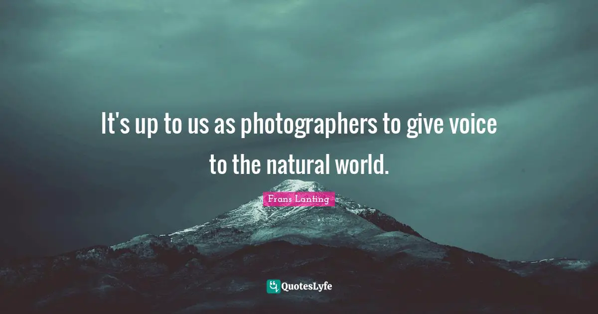 It's up to us as photographers to give voice to the natural world.