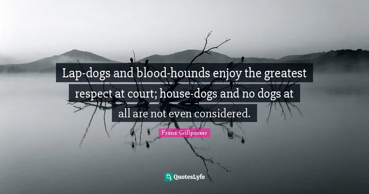 Lap-dogs and blood-hounds enjoy the greatest respect at court; house-dogs and no dogs at all are not even considered.