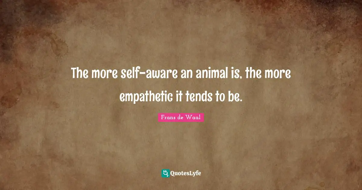 The more self-aware an animal is, the more empathetic it tends to be.