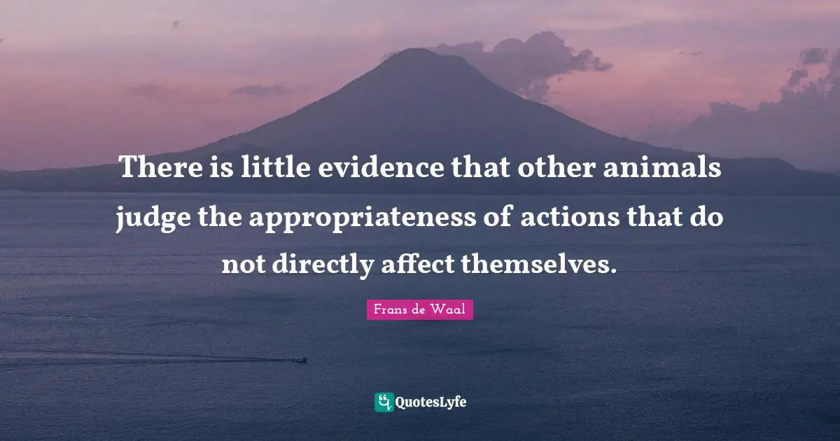 There is little evidence that other animals judge the appropriateness of actions that do not directly affect themselves.