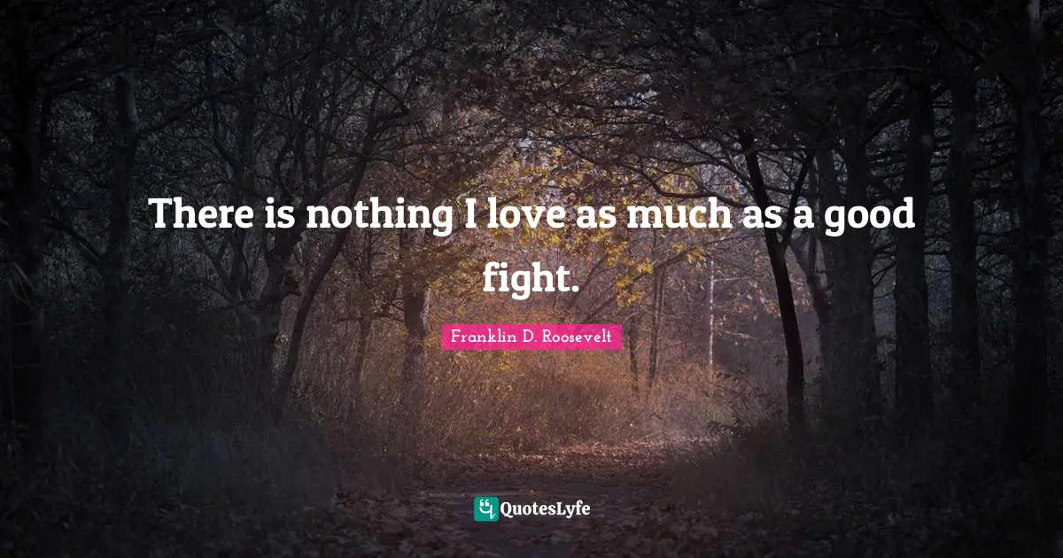 There is nothing I love as much as a good fight.