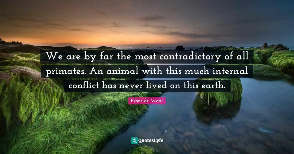 Primates Quotes: "We are by far the most contradictory of all primates. An animal with this much internal conflict has never lived on this earth."