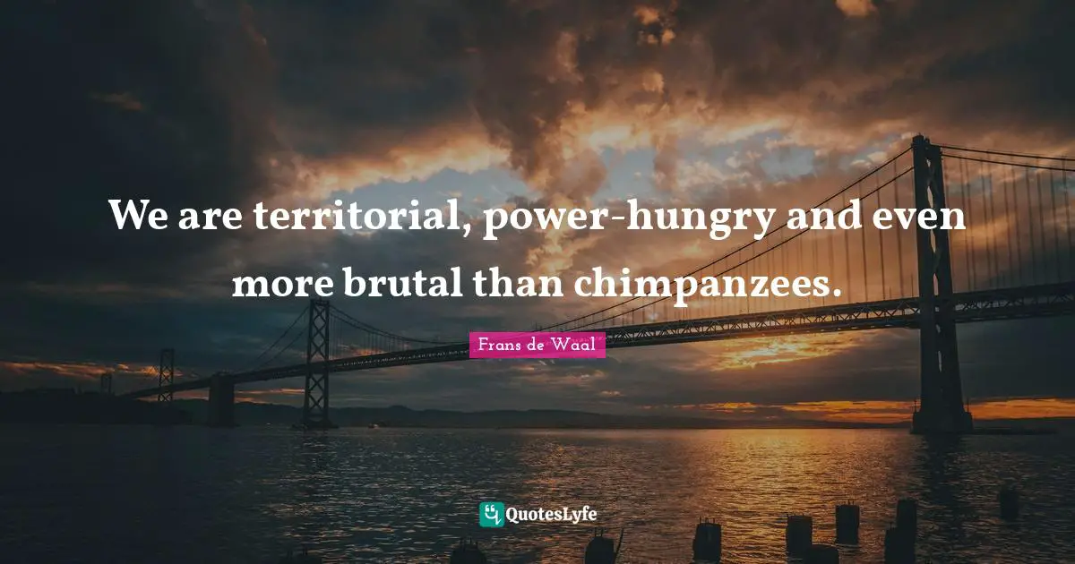Brutal Quotes: "We are territorial, power-hungry and even more brutal than chimpanzees."