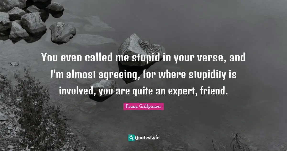 You even called me stupid in your verse, and I'm almost agreeing, for where stupidity is involved, you are quite an expert, friend.