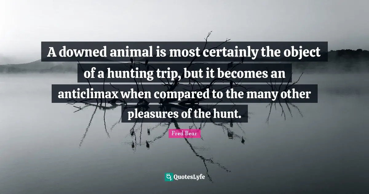 A downed animal is most certainly the object of a hunting trip, but it becomes an anticlimax when compared to the many other pleasures of the hunt.