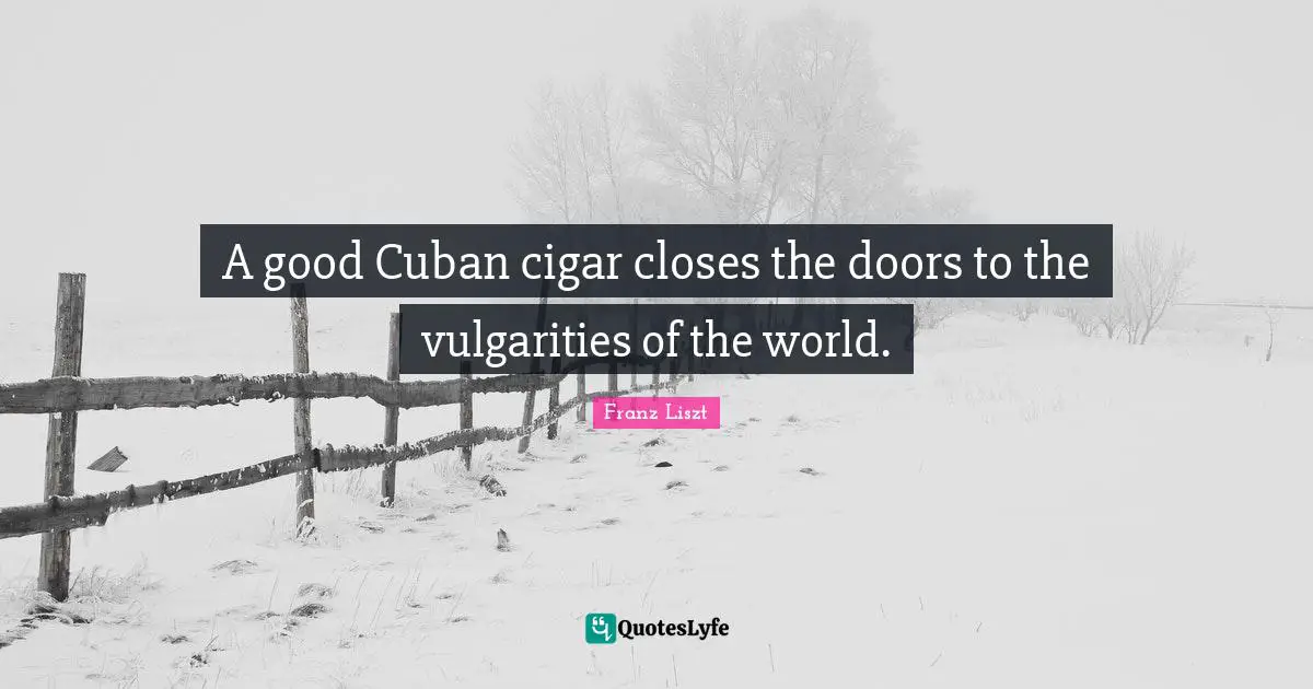 A good Cuban cigar closes the doors to the vulgarities of the world.