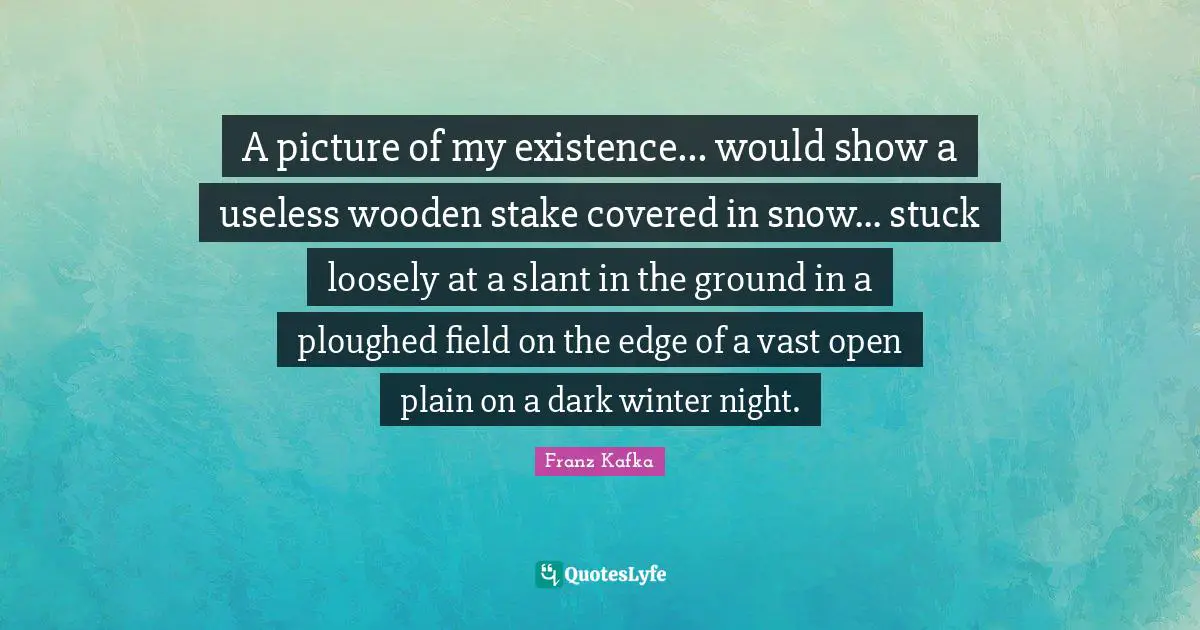 A picture of my existence... would show a useless wooden stake covered in snow... stuck loosely at a slant in the ground in a ploughed field on the edge of a vast open plain on a dark winter night.