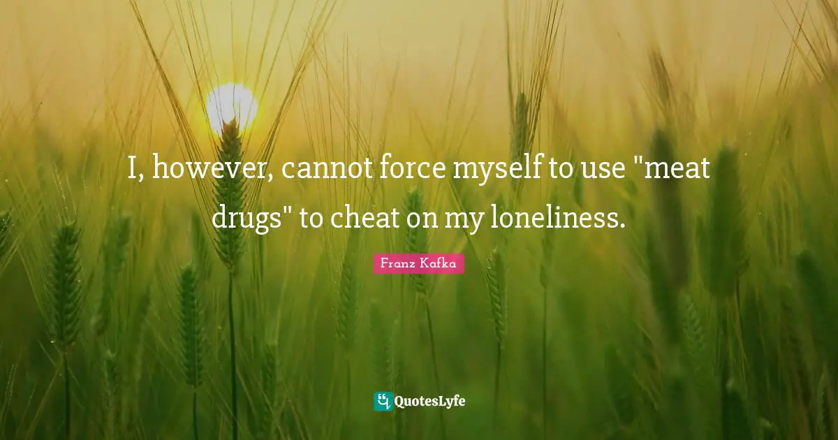 I, however, cannot force myself to use "meat drugs" to cheat on my loneliness.