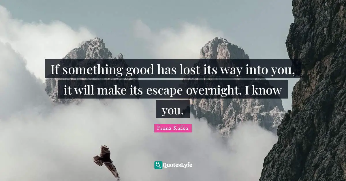 If something good has lost its way into you, it will make its escape overnight. I know you.