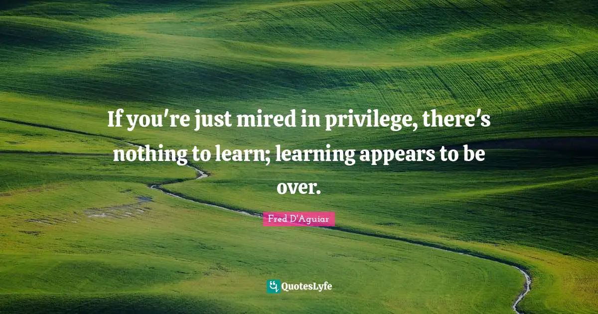 If you're just mired in privilege, there's nothing to learn; learning appears to be over.