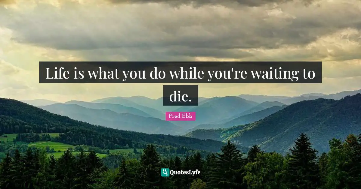 Life is what you do while you're waiting to die.