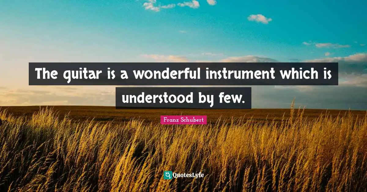 Instruments Quotes: "The guitar is a wonderful instrument which is understood by few."