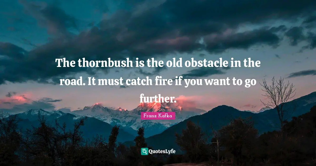 Franz Kafka Quotes: "The thornbush is the old obstacle in the road. It must catch fire if you want to go further."