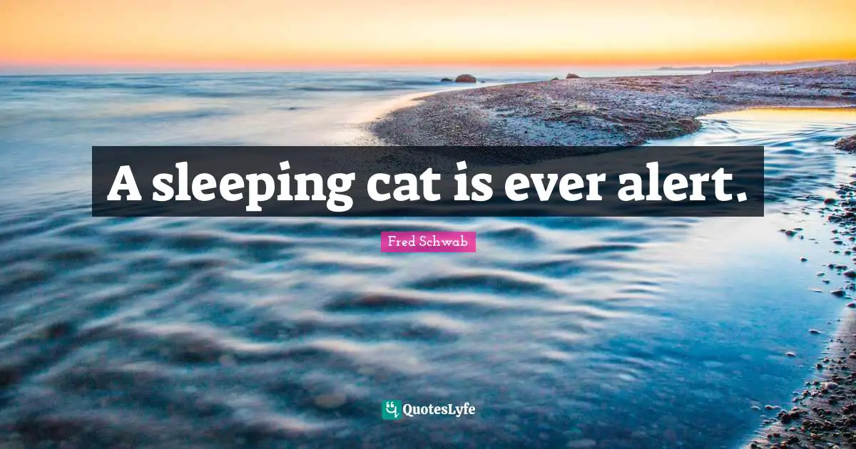 A sleeping cat is ever alert.