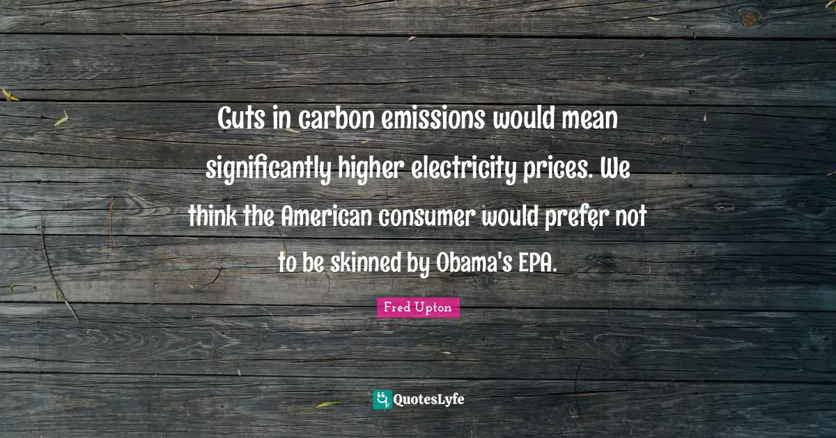 Cuts in carbon emissions would mean significantly higher electricity prices. We think the American consumer would prefer not to be skinned by Obama's EPA.