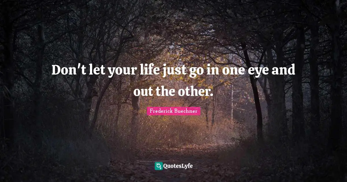 Don't let your life just go in one eye and out the other.