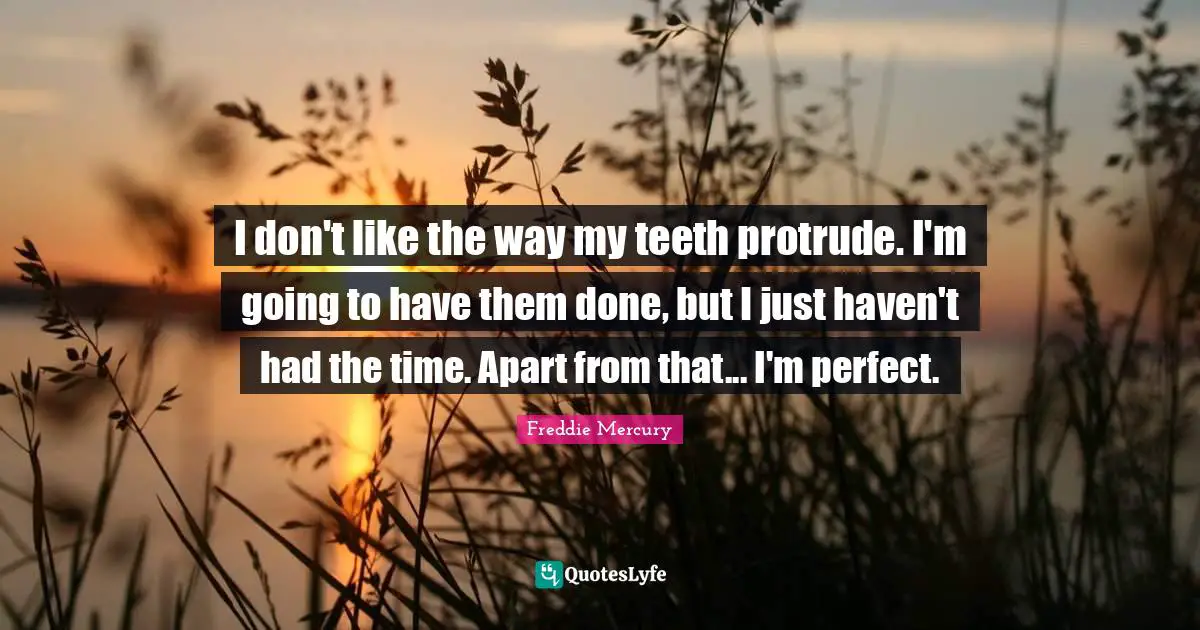 Freddie Mercury Quotes: "I don't like the way my teeth protrude. I'm going to have them done, but I just haven't had the time. Apart from that... I'm perfect."