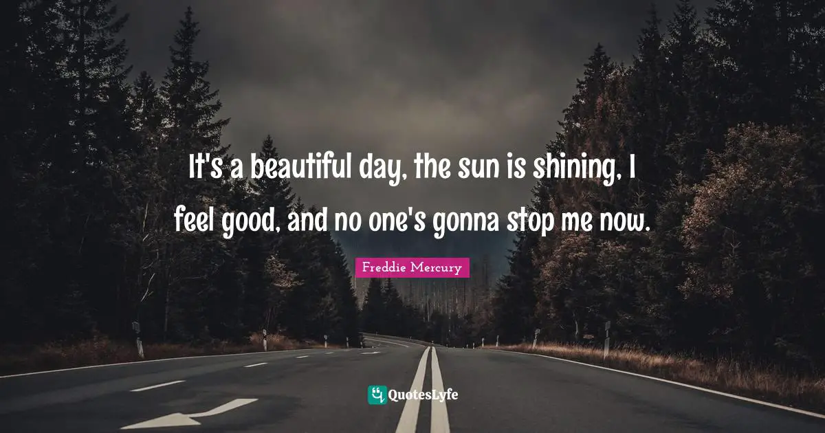 Freddie Mercury Quotes: "It's a beautiful day, the sun is shining, I feel good, and no one's gonna stop me now."