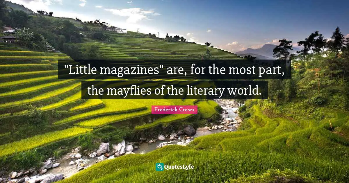 "Little magazines" are, for the most part, the mayflies of the literary world.