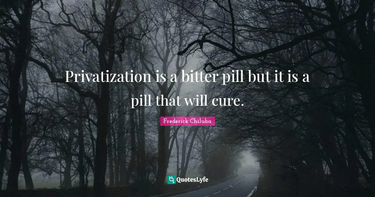 Privatization is a bitter pill but it is a pill that will cure.